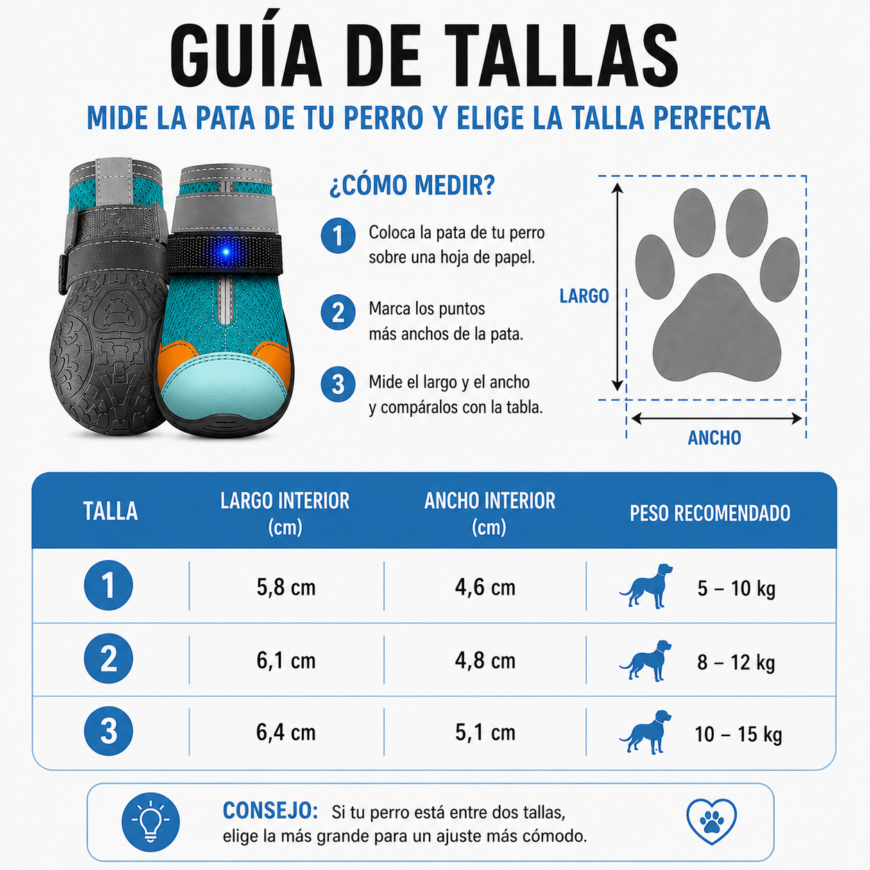 Zapatillas LED para Perros: Visibilidad y Protección